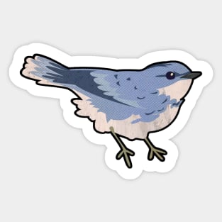 Cerulean warbler Sticker